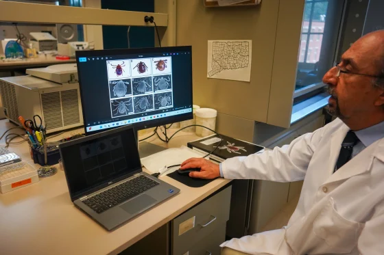 Watch out for this invasive tick. It could saddle you with a little-known, debilitating infection.